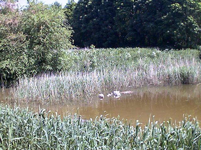 foto02.jpg