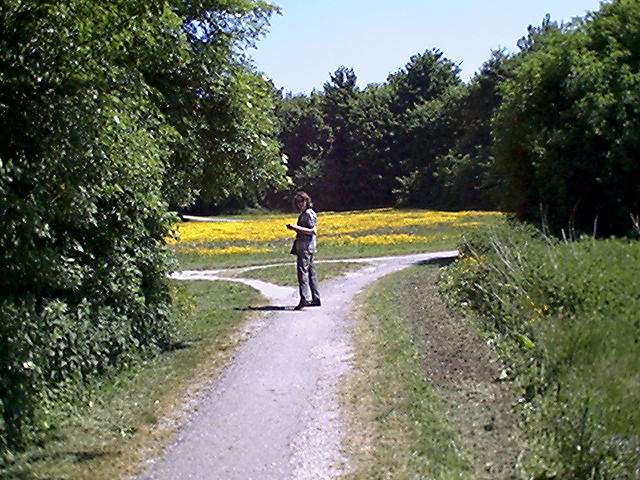 foto04.jpg