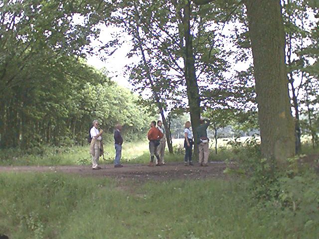 dtrap20-04.jpg