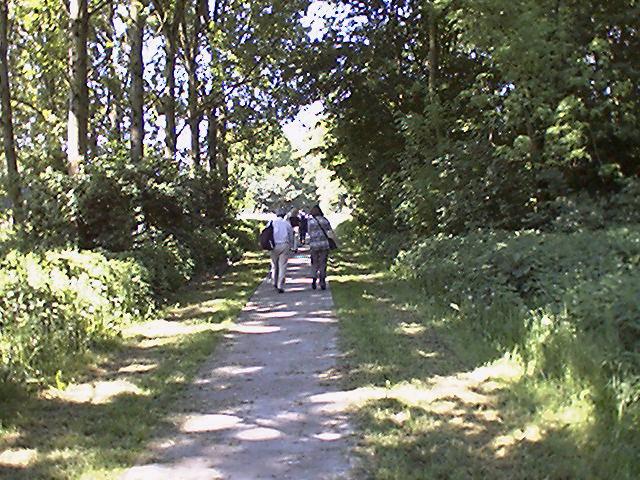 foto01.jpg
