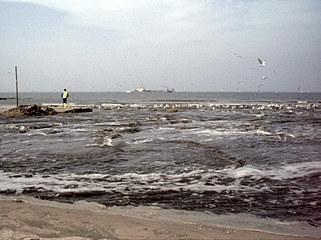 DAUW02b.JPG