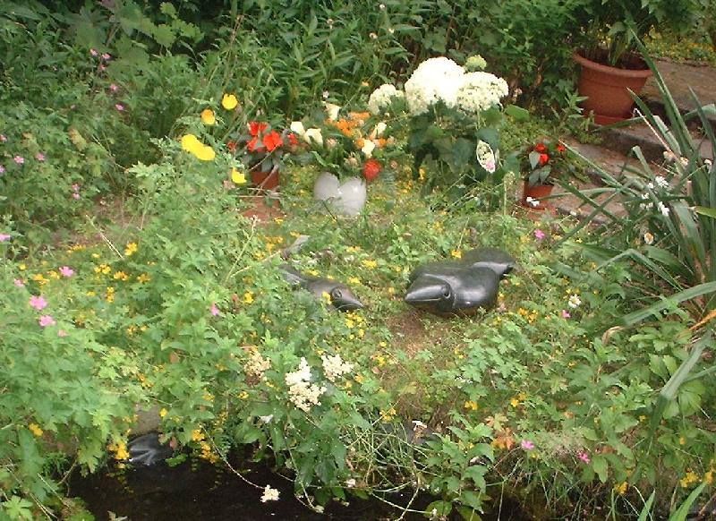 dscf0144_1.jpg
