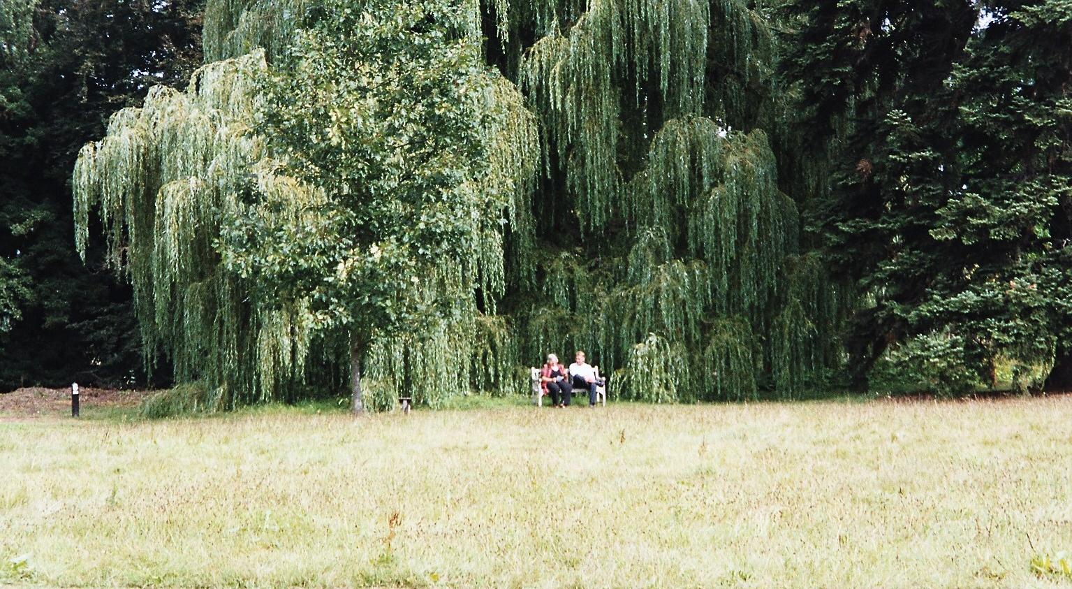 imm027.jpg