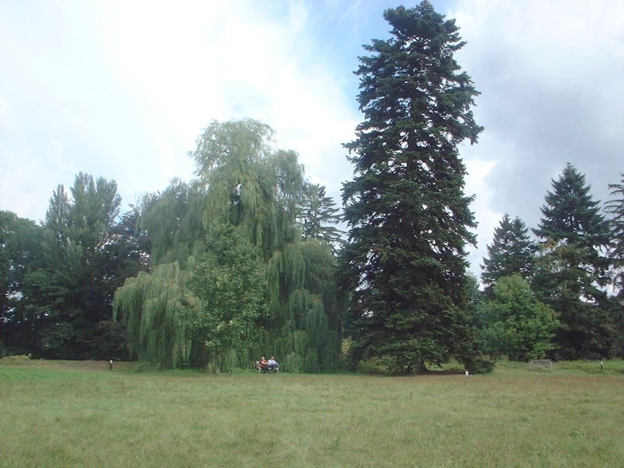 _dscf0201.jpg