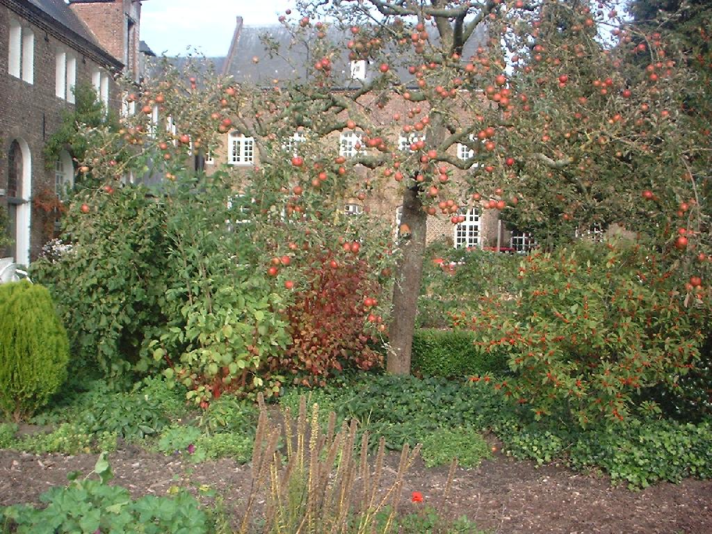 DSCF0088.JPG
