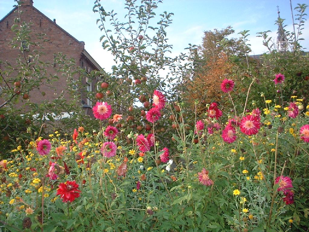 DSCF0106.JPG