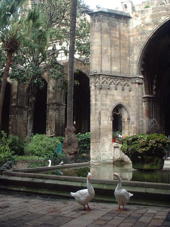 DSCF0002.JPG