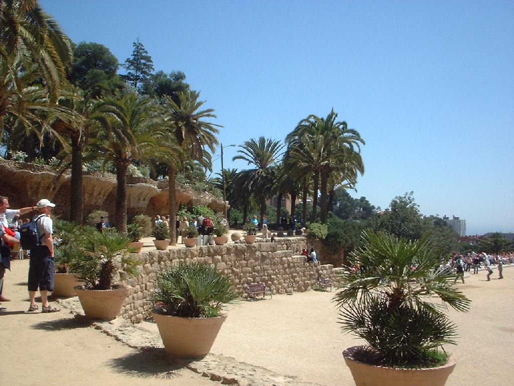 DSCF0011.JPG