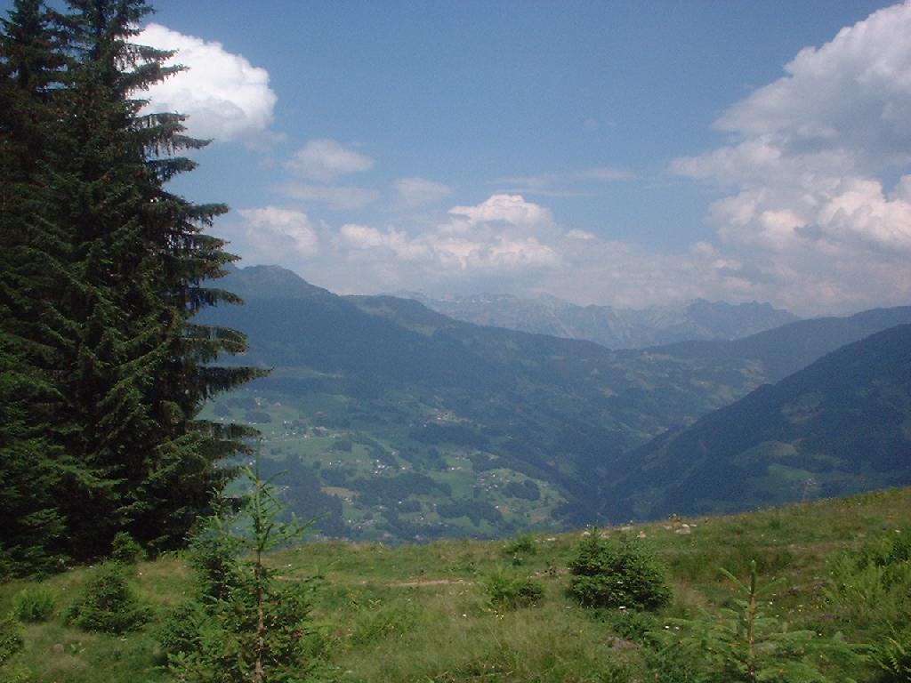 DSCF0004.JPG
