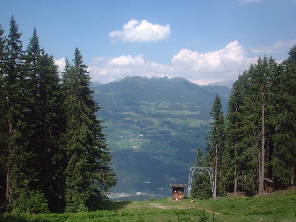 DSCF0006.JPG