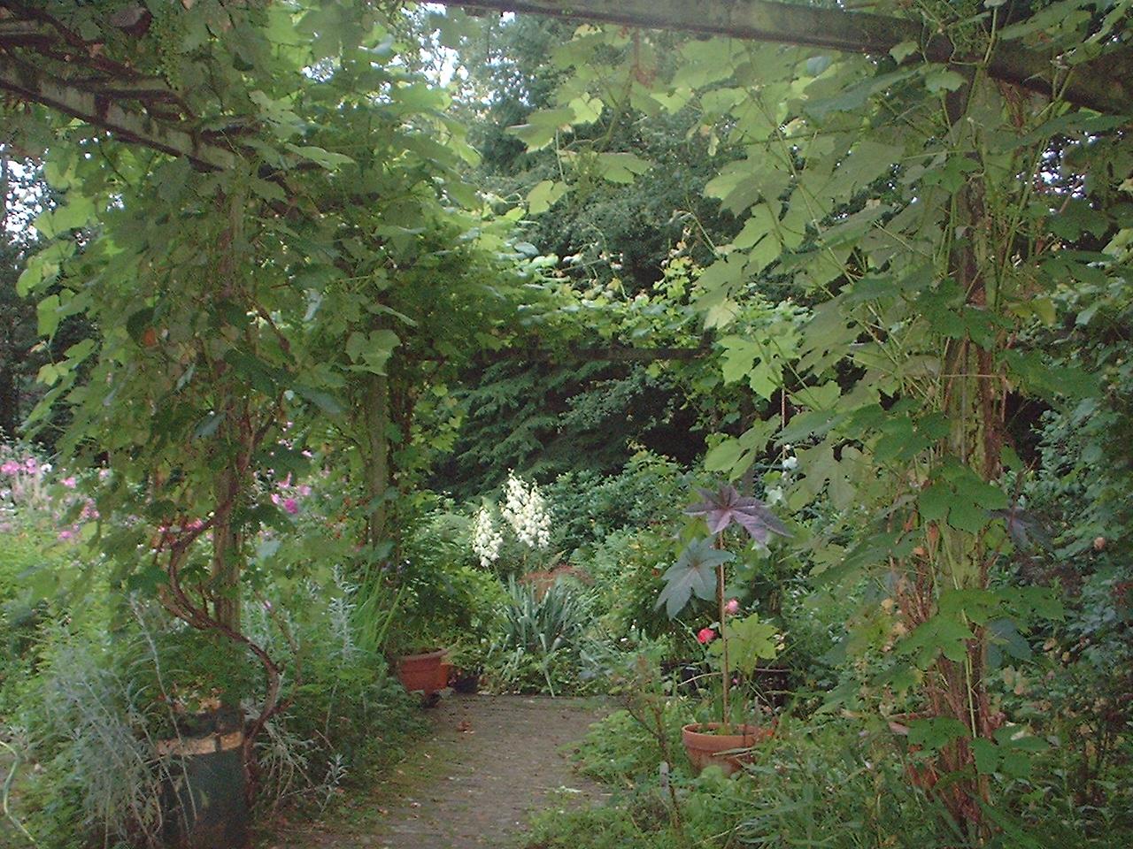 DSCF0069.JPG