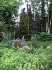 thm_2007-06-19_Best_6.jpg
