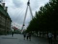 thm_DSCF4973.jpg