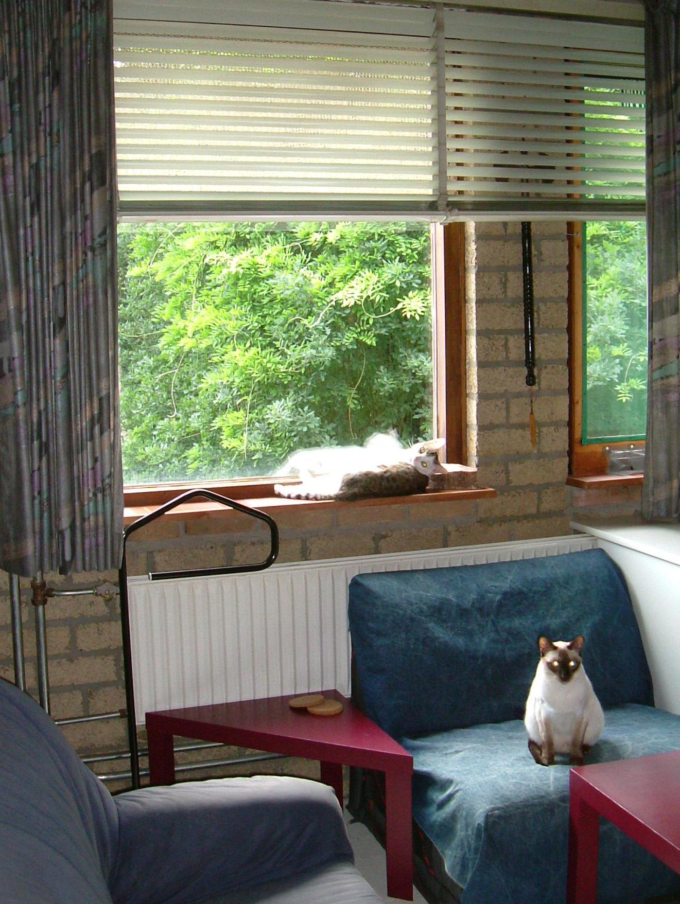 DSCF5048.JPG