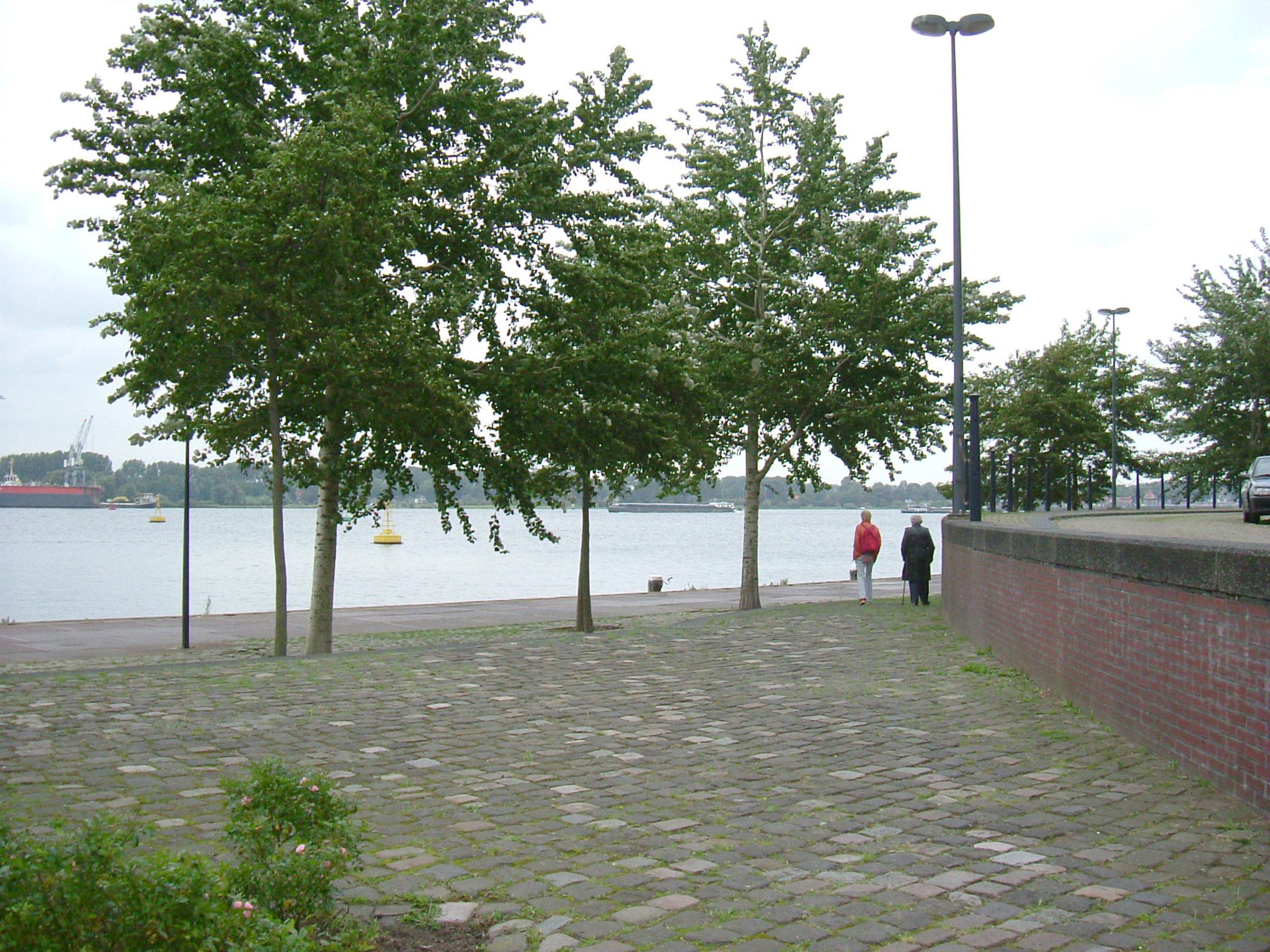 DSCF5132.JPG