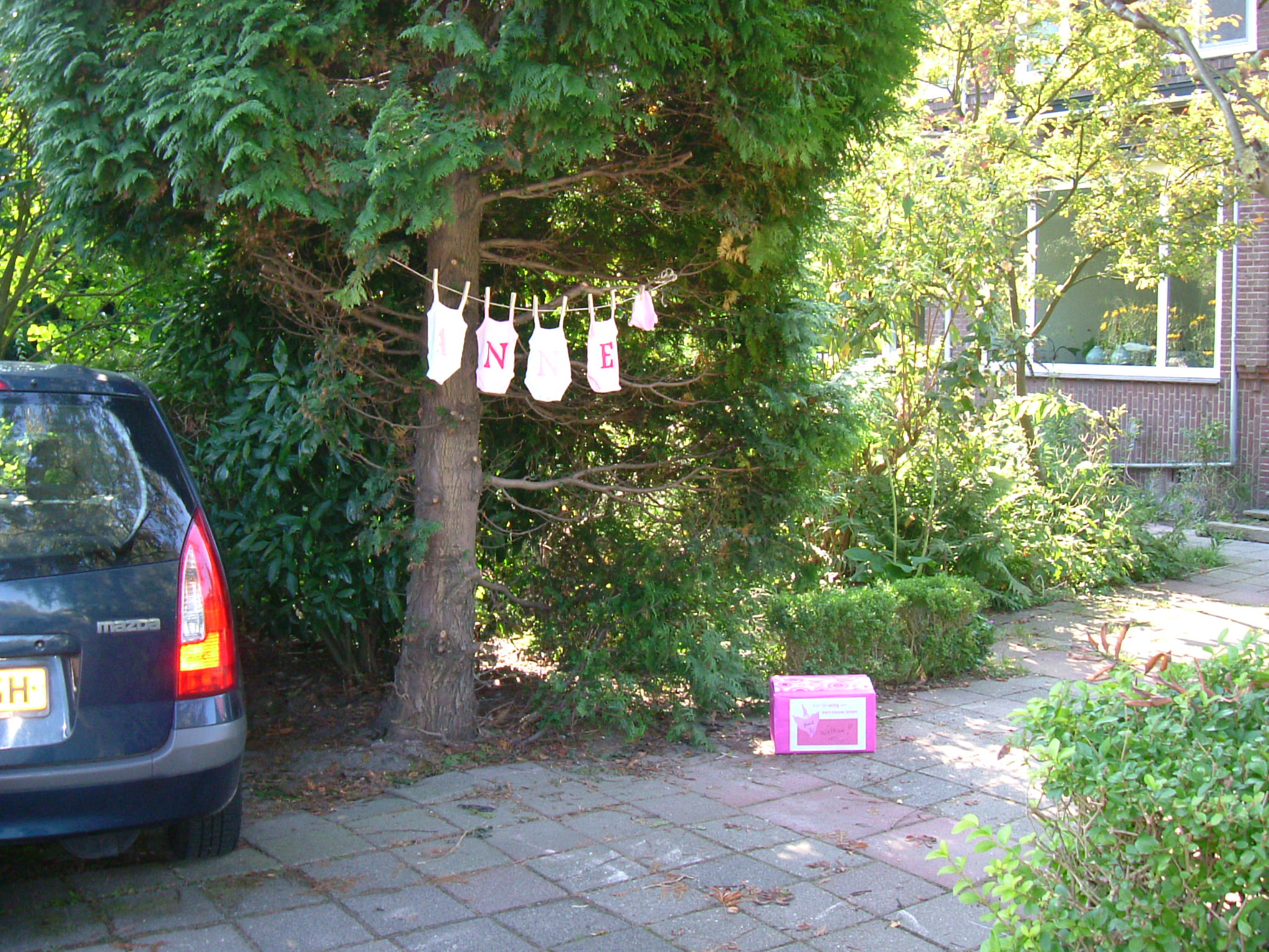 DSCF5200.JPG