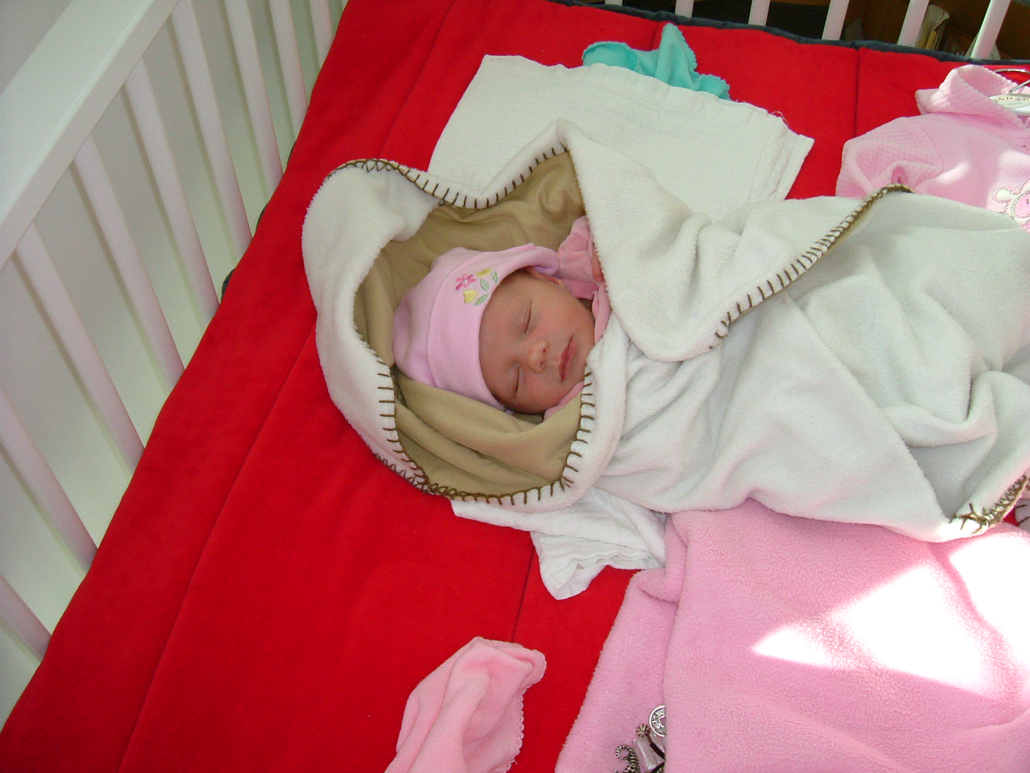 DSCF5248.JPG