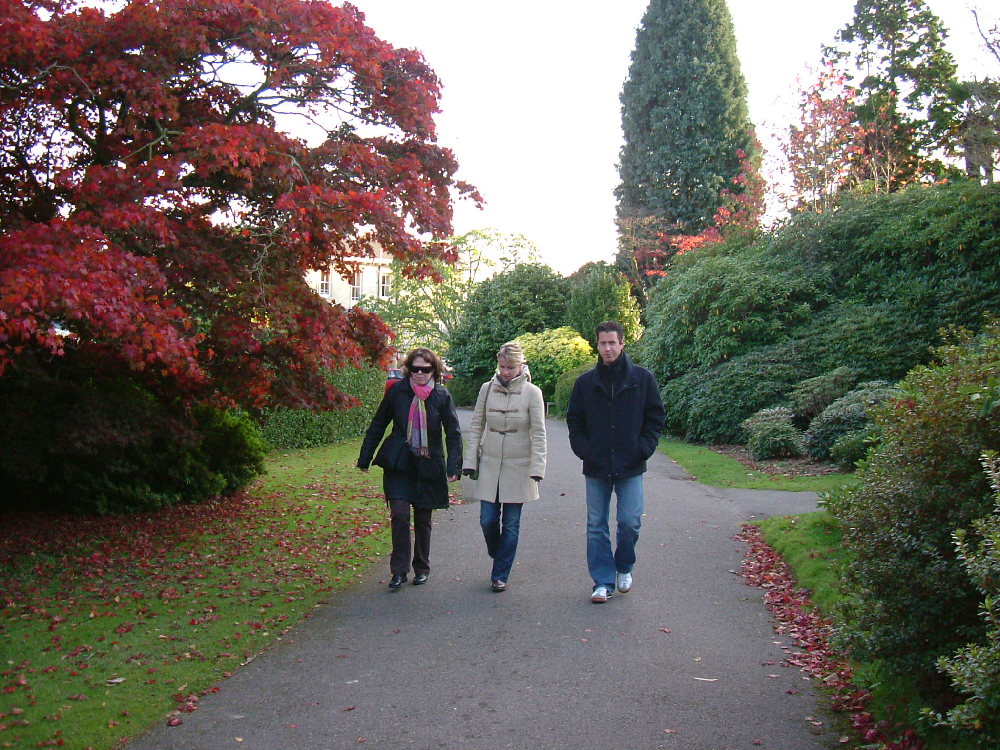 DSCF5299.JPG