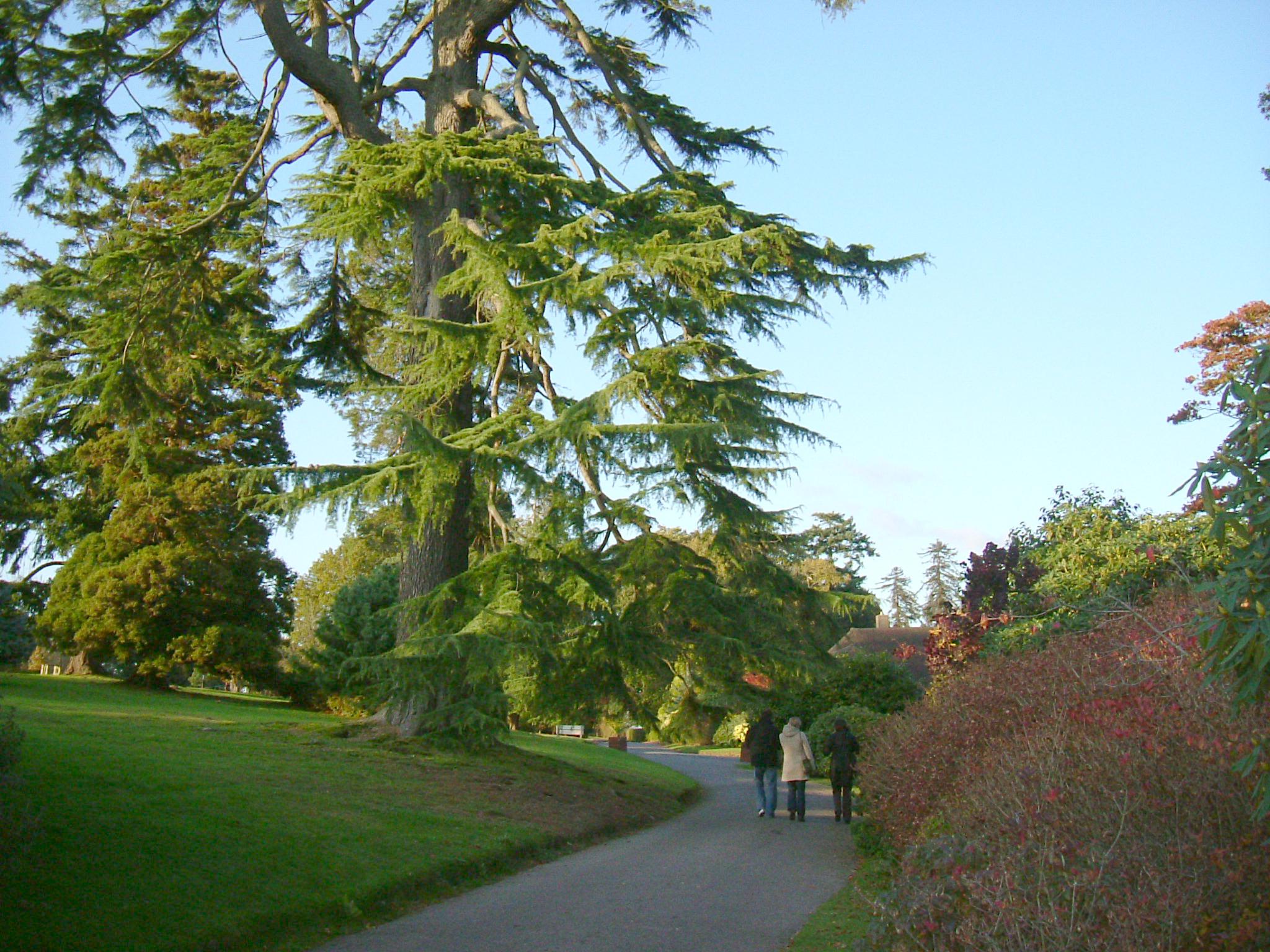 DSCF5300.JPG