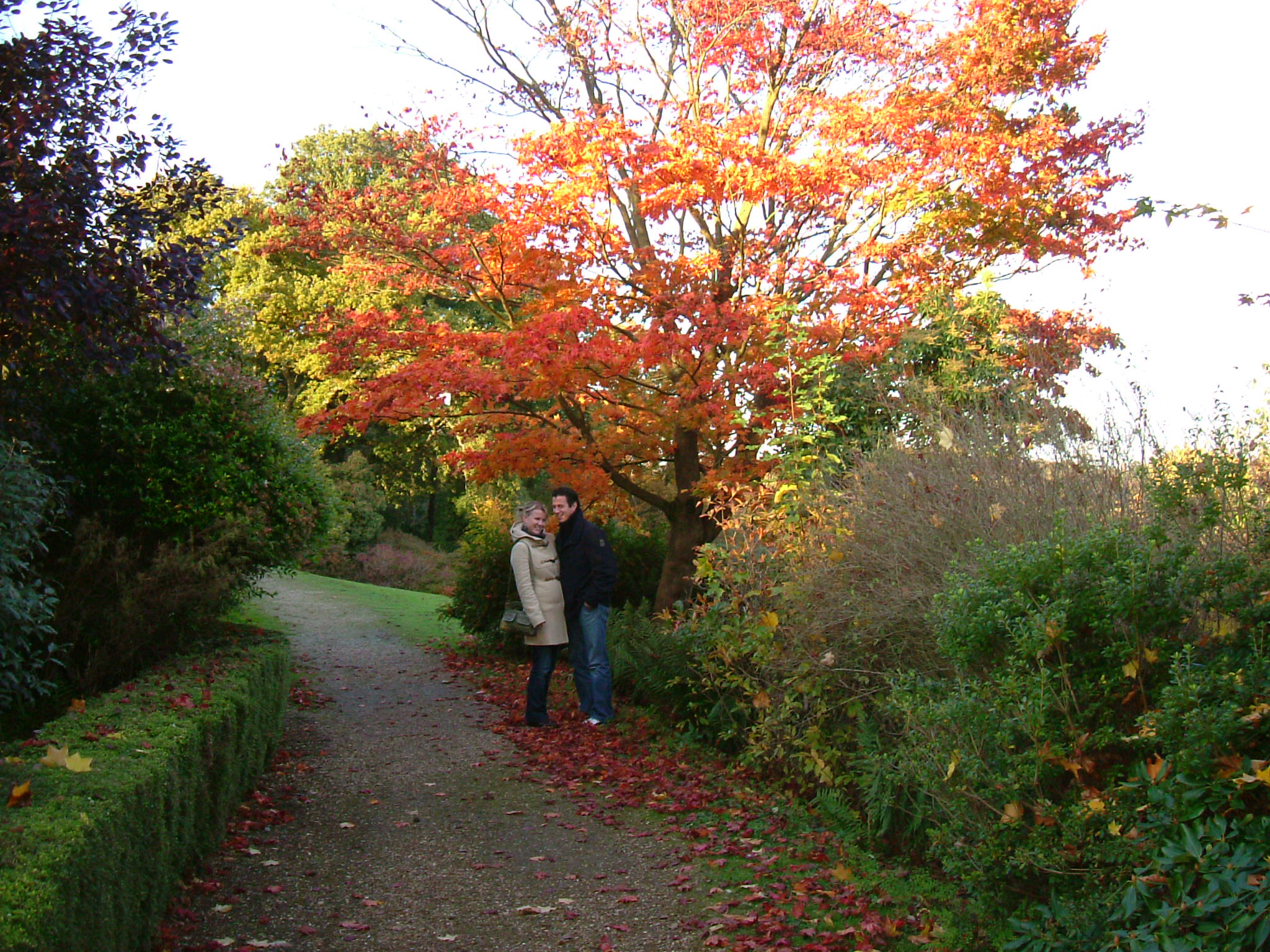 DSCF5305.JPG