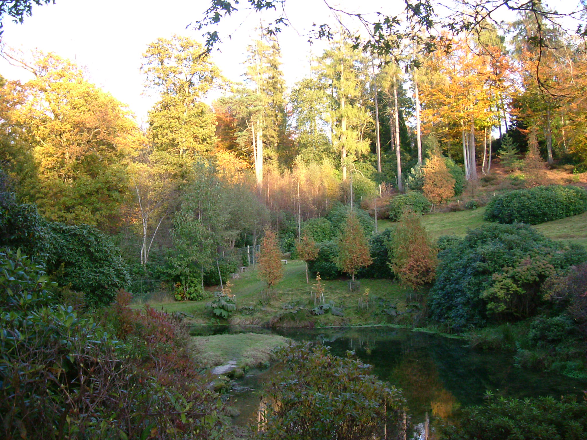 DSCF5308.JPG