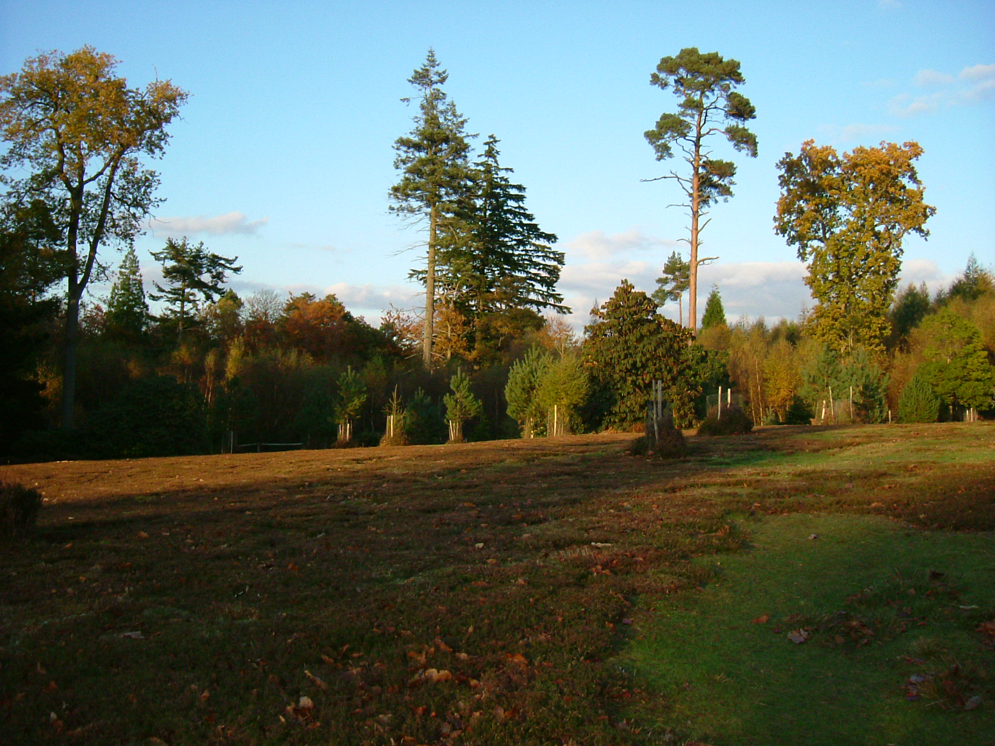 DSCF5318.JPG