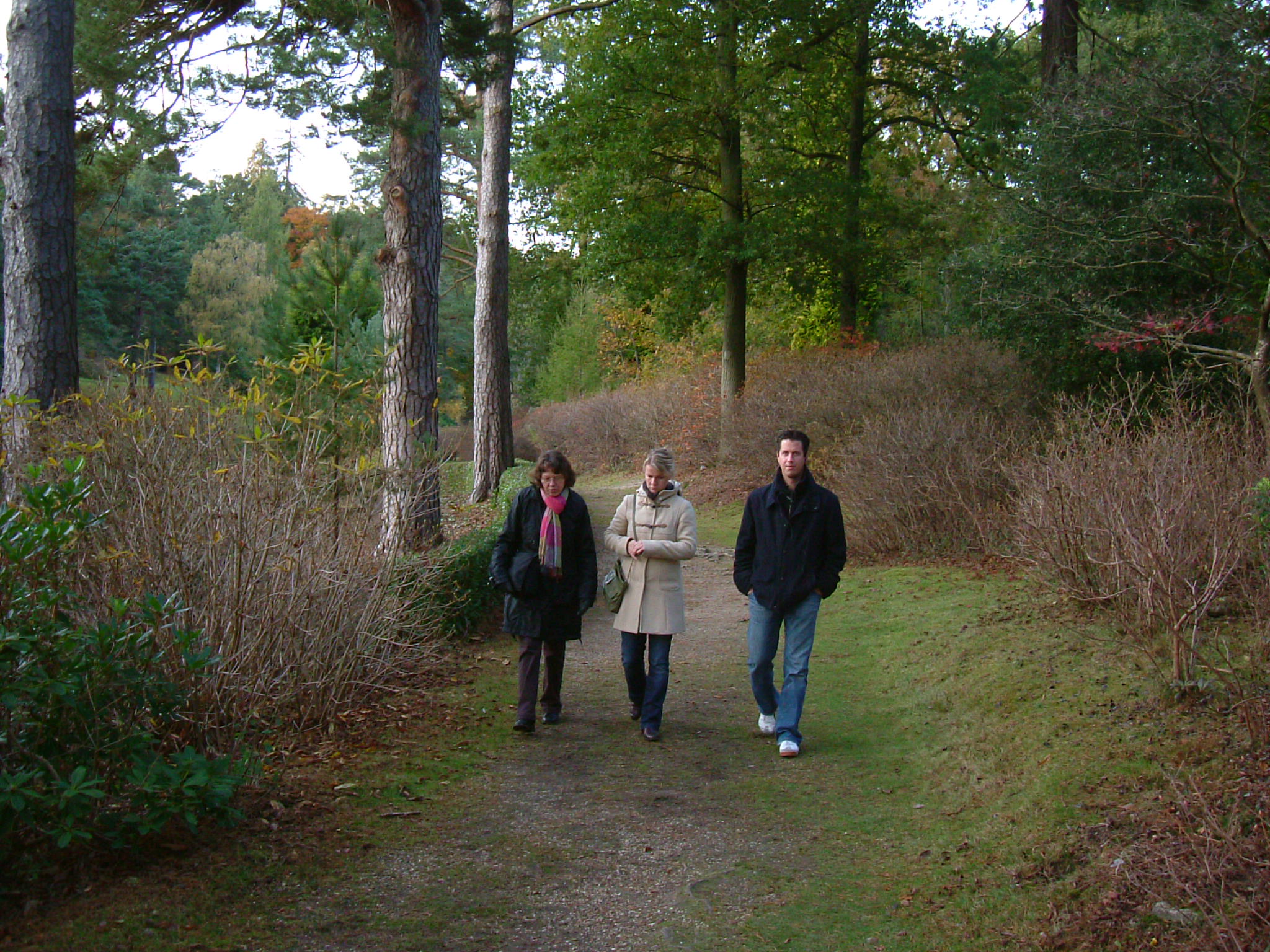 DSCF5334.JPG