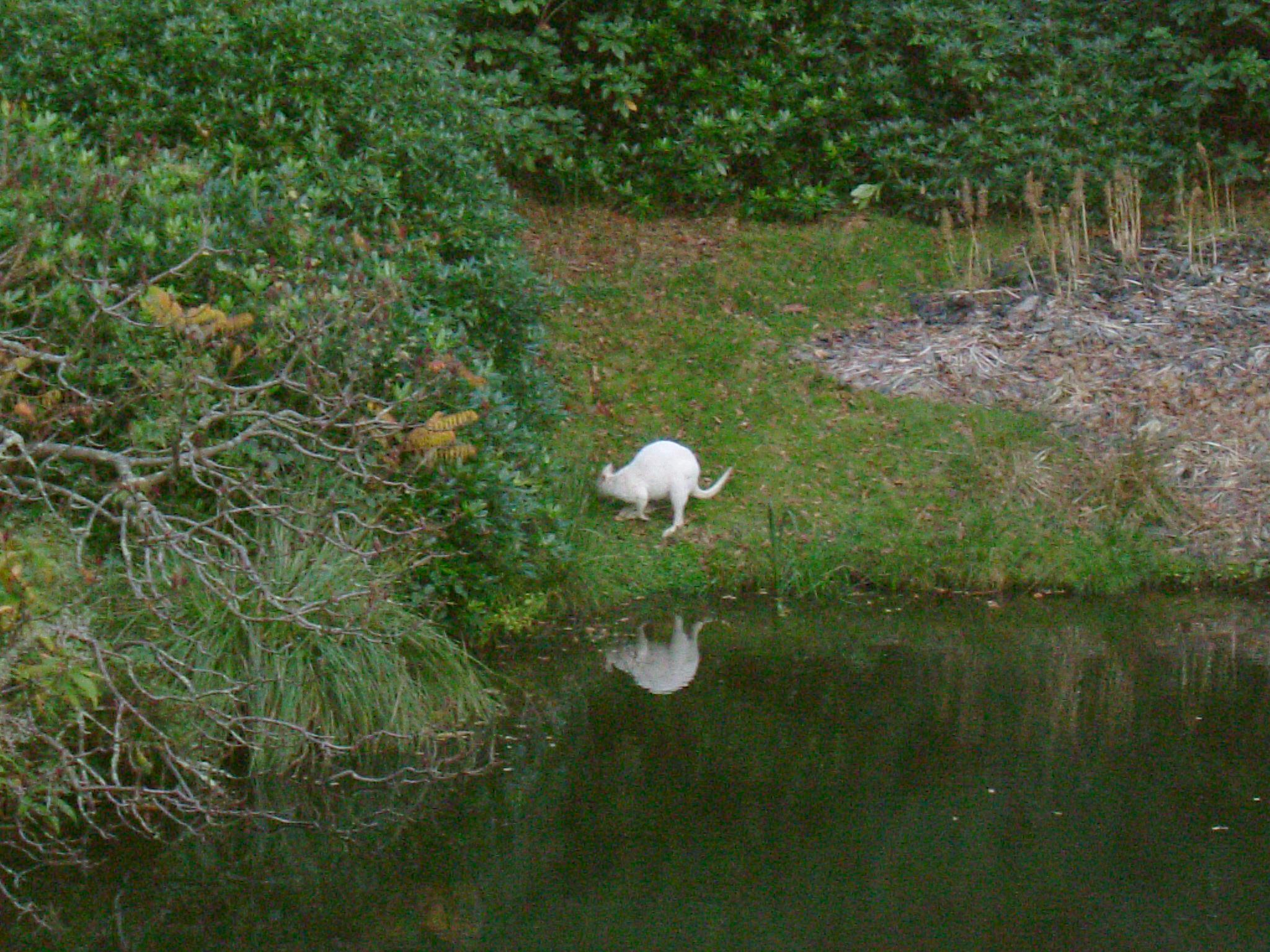 DSCF5350.JPG