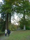 thm_DSCF5339.jpg