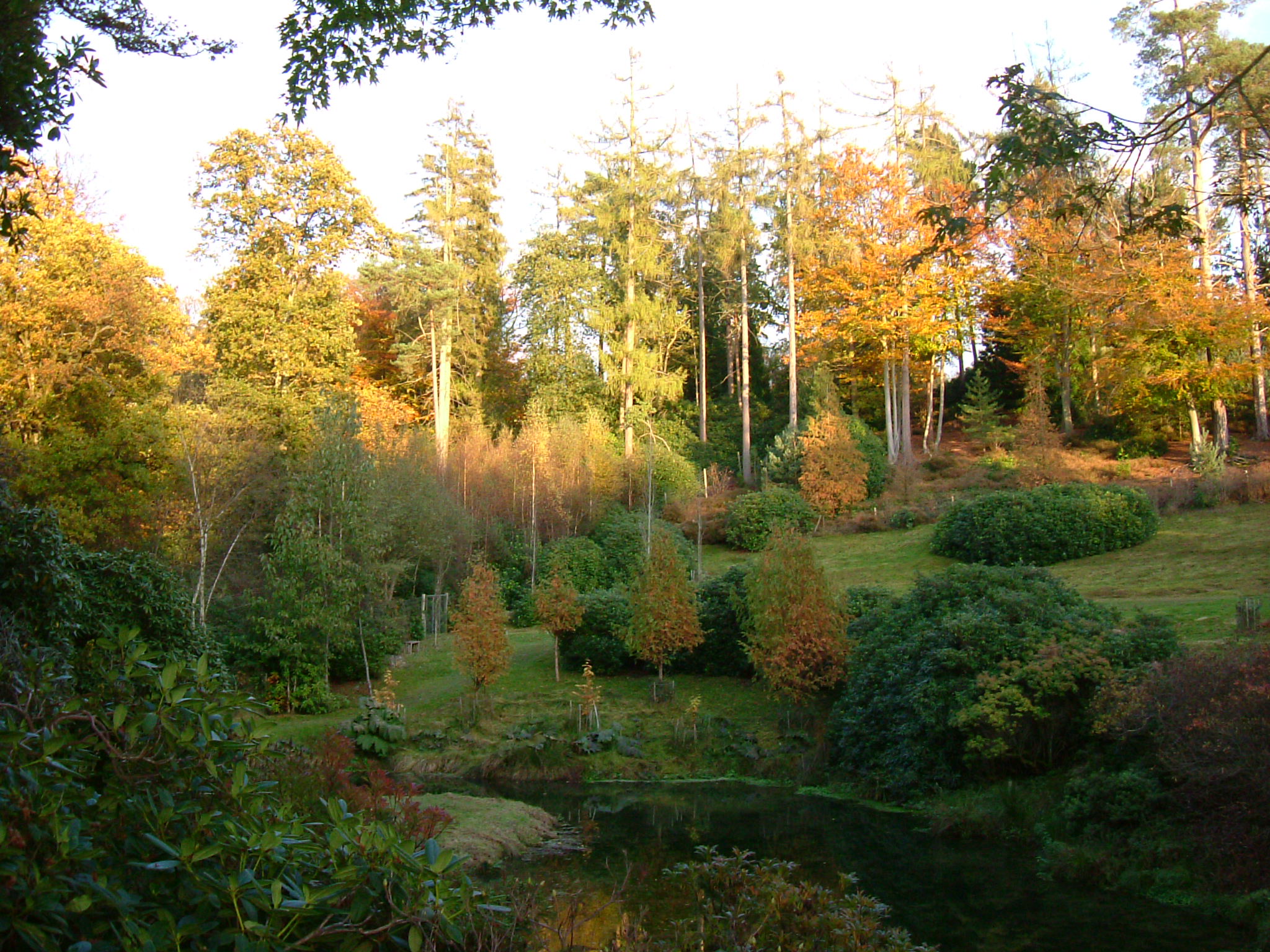 DSCF5307.JPG