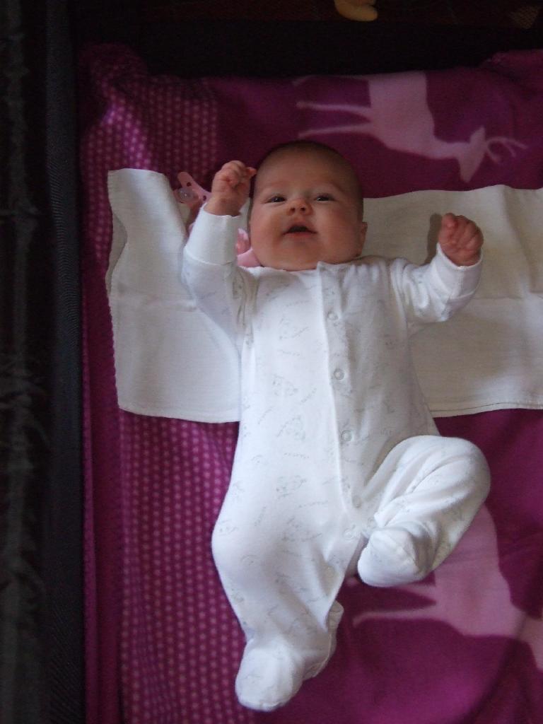 DSCF1237.jpg