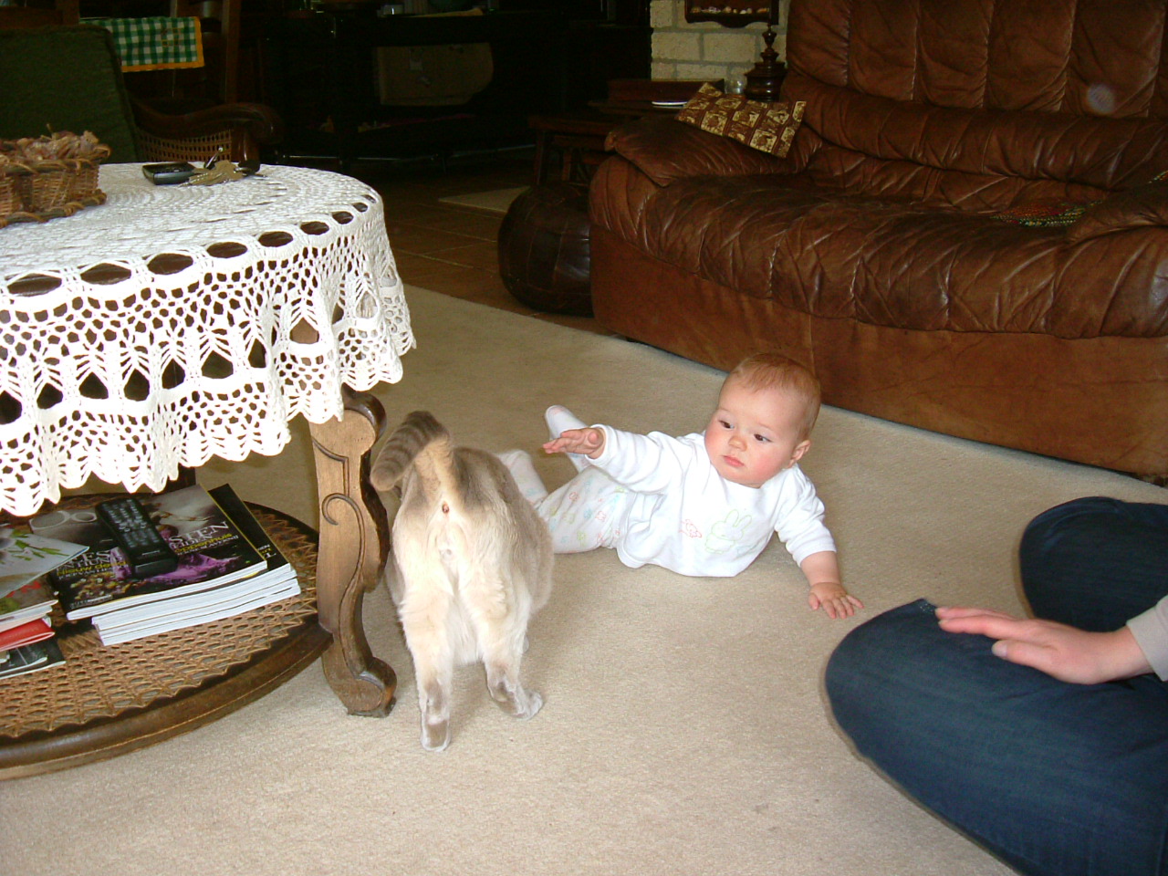 DSCF5790.JPG