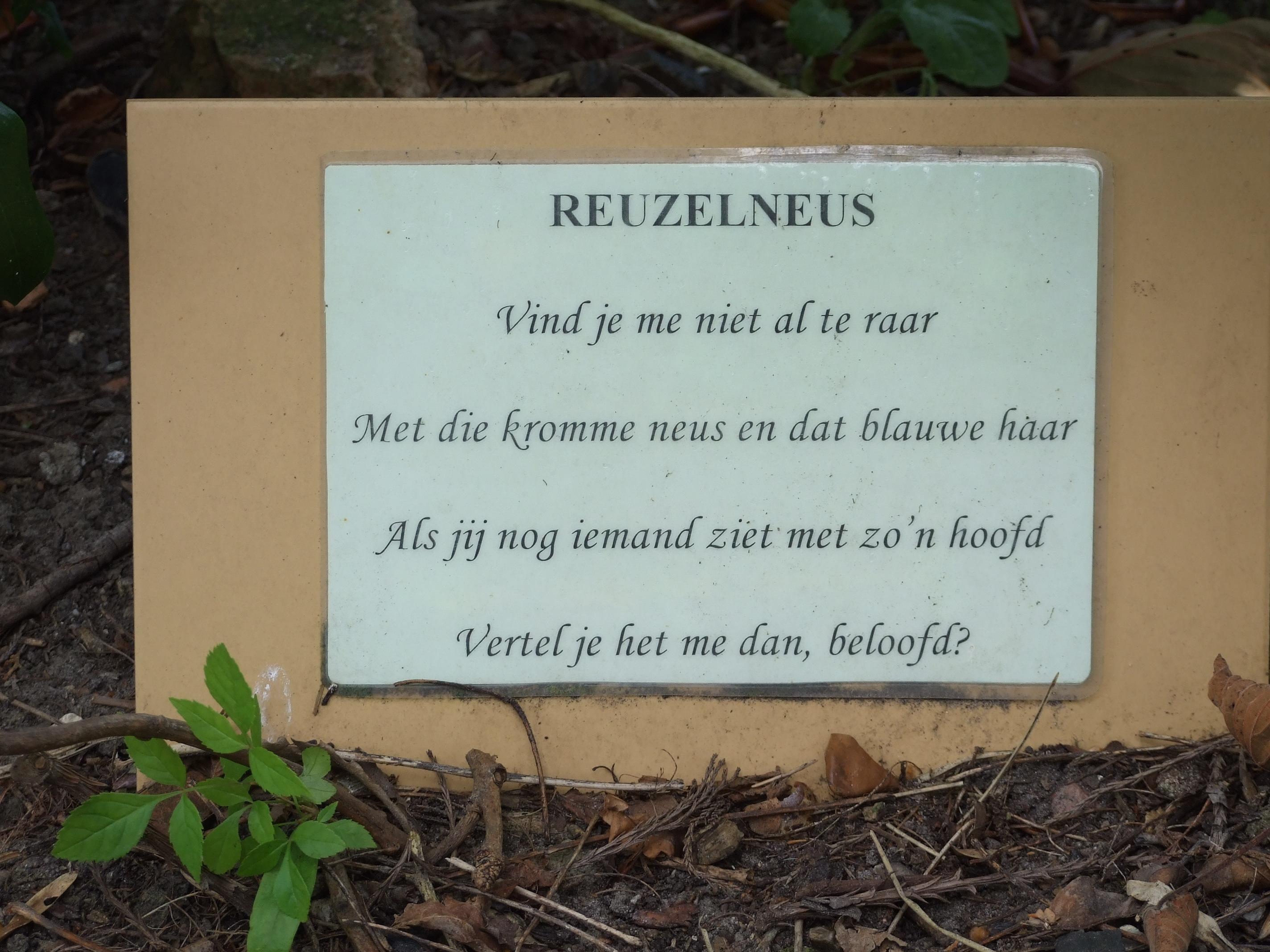 DSCF1522.jpg