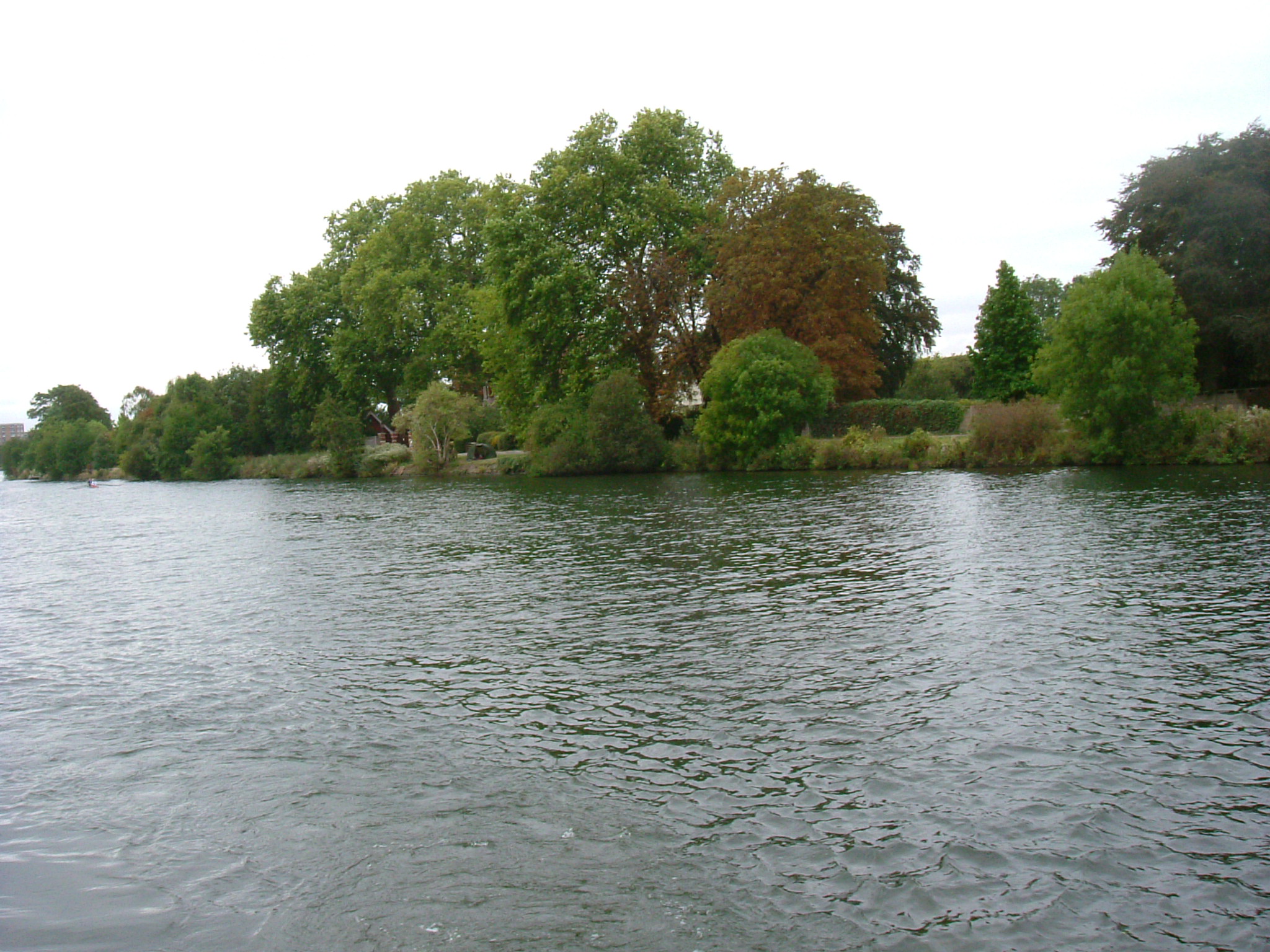 DSC02145.JPG