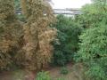 thm_DSC02169.jpg