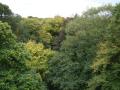 thm_DSC02175.jpg