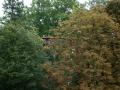 thm_DSC02178.jpg