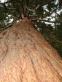 thm_DSC02199.jpg