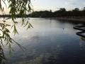 thm_DSC03064.jpg