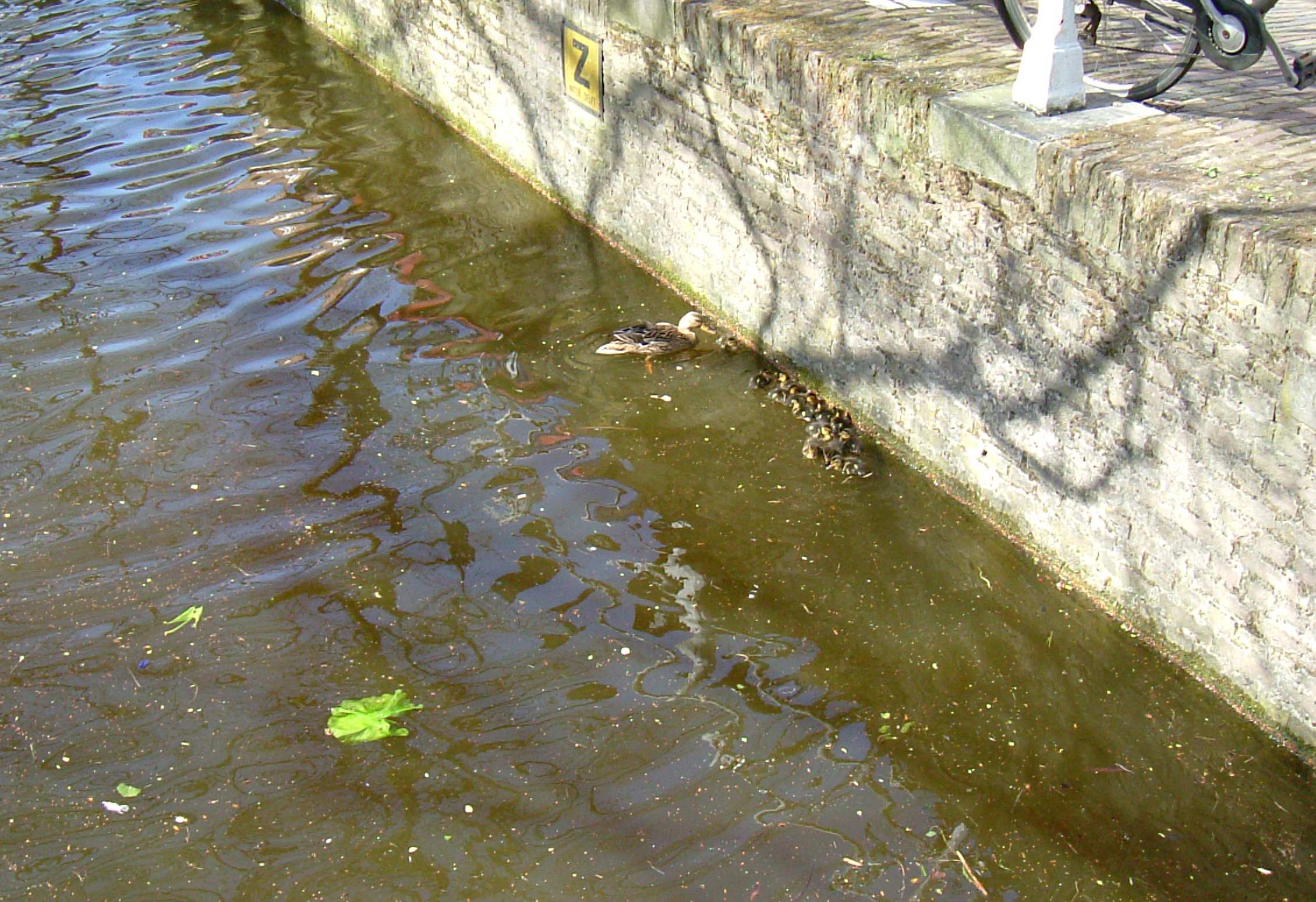 DSCF7040.JPG