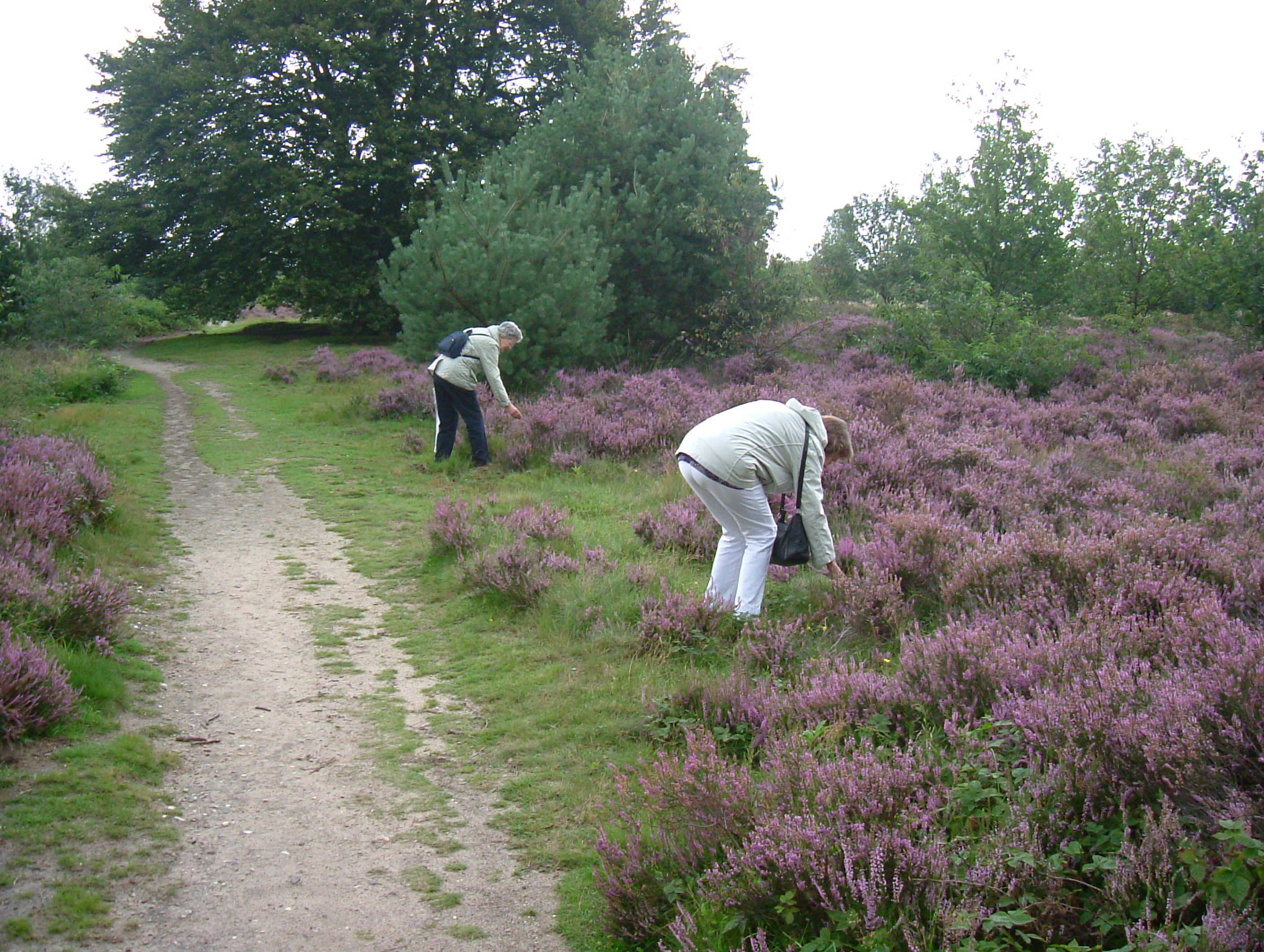 DSCF7404.JPG