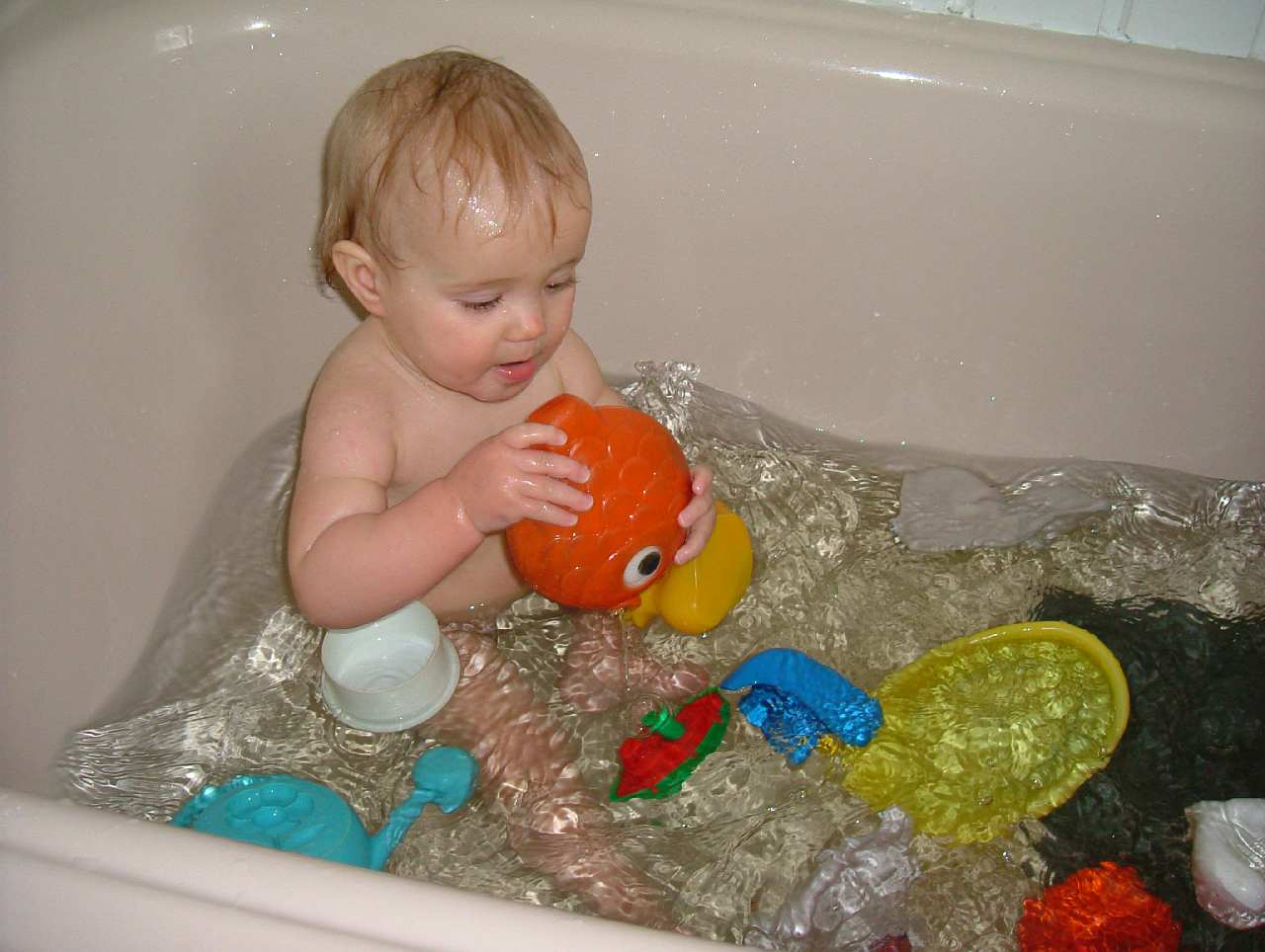 DSCF7695.JPG