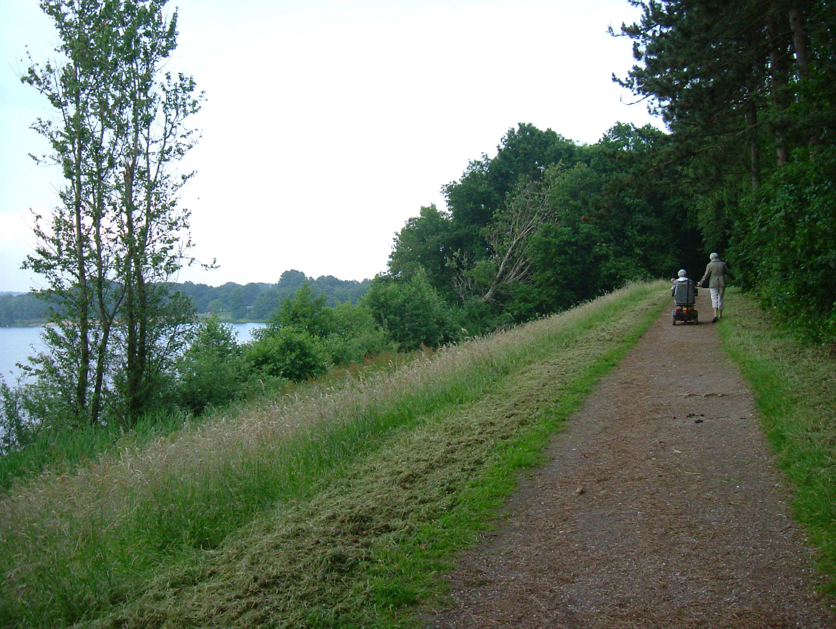 DSCF7879.JPG