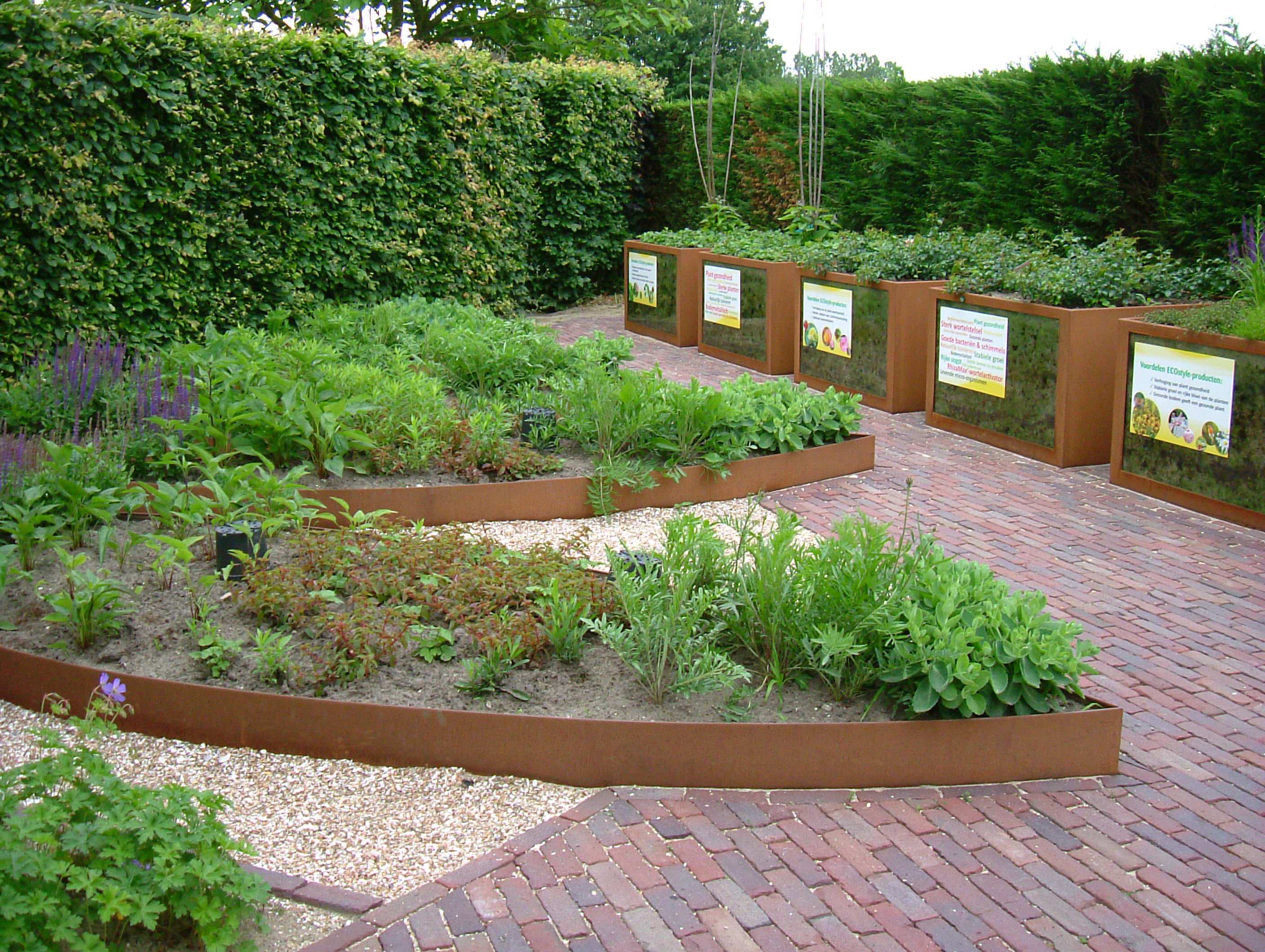 DSCF7884.JPG
