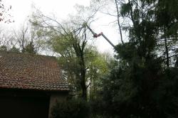 thm_IMG_2933.jpg