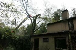 thm_IMG_2937.jpg