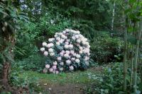 thm_IMG_3356.jpg