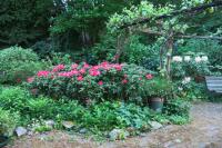 thm_IMG_3359.jpg