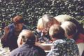 thm_99hpvught08.jpg