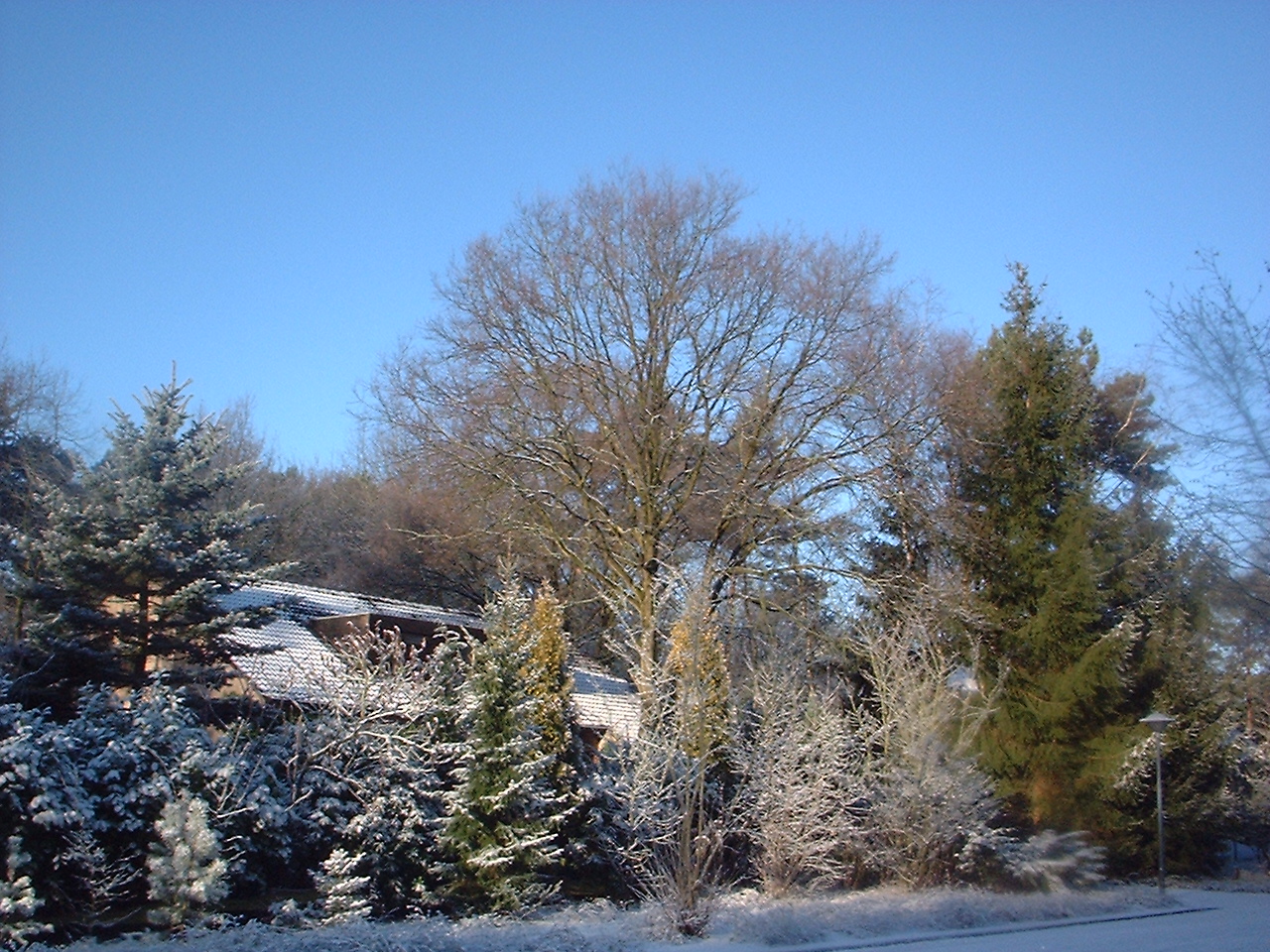 DSCF0203.JPG